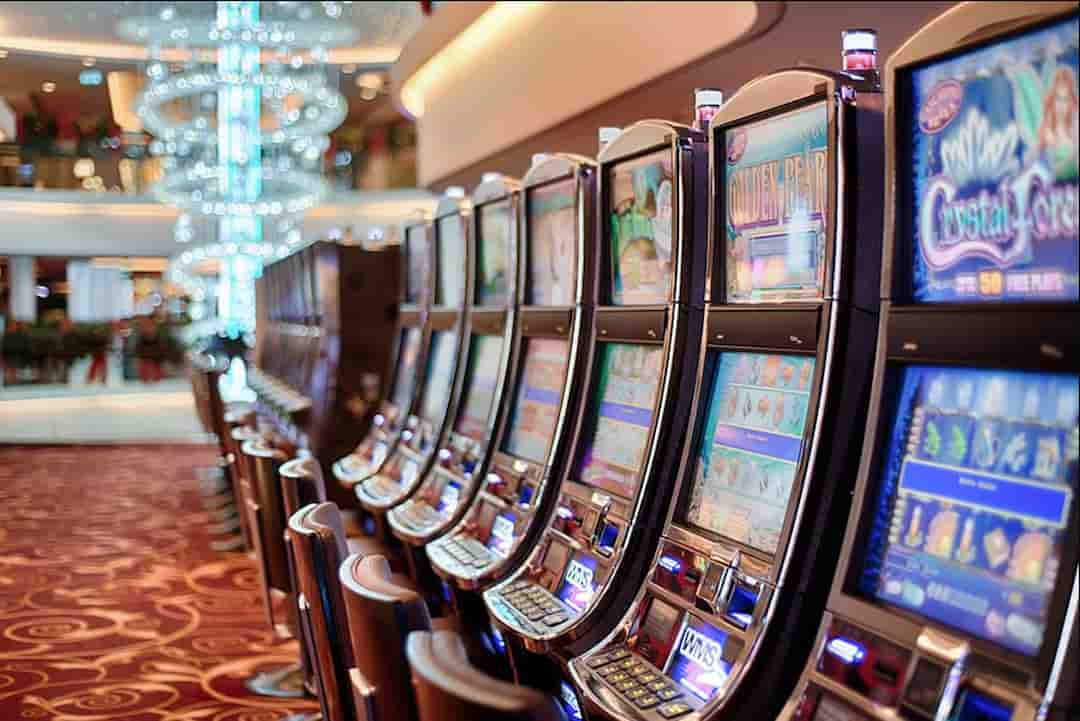 Rồng hổ tại Shanghai Resort Casino 