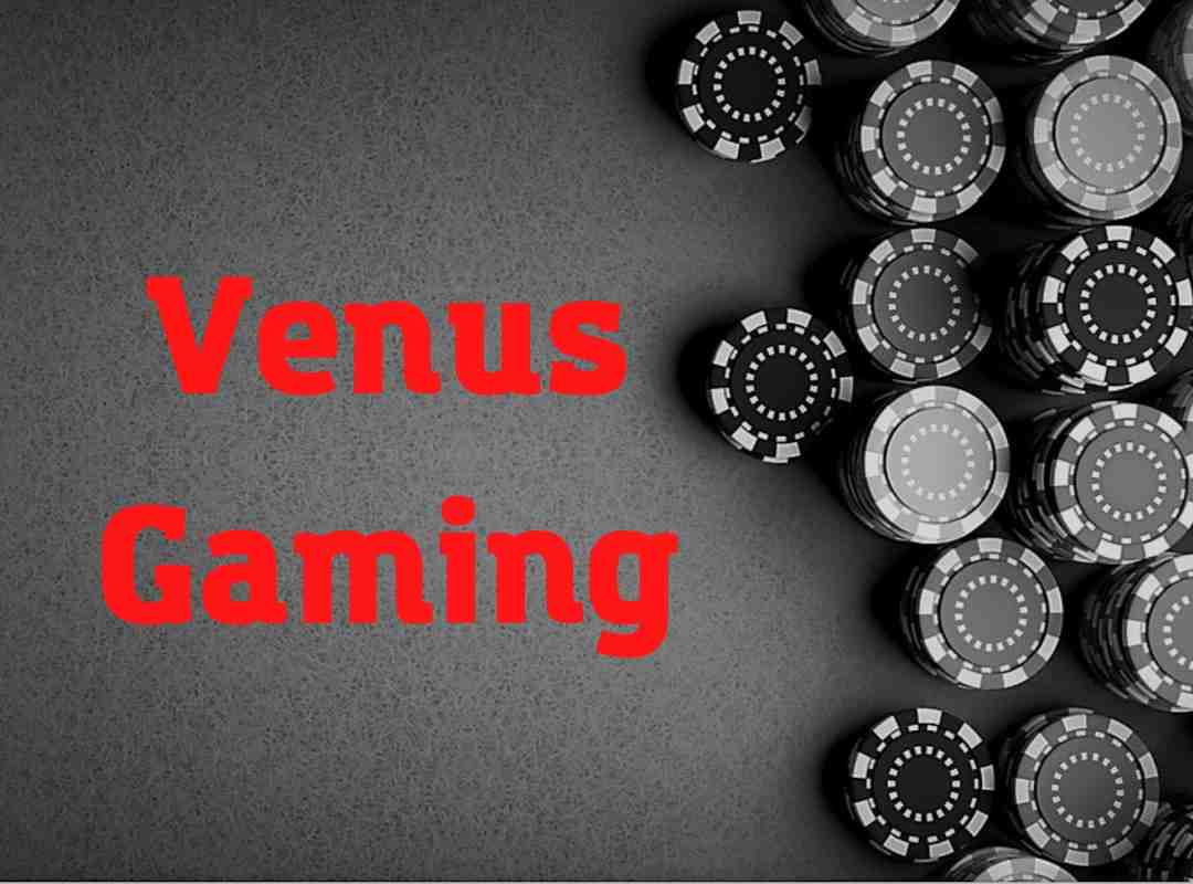 Quá trình đi đến danh vọng của Venus Gaming